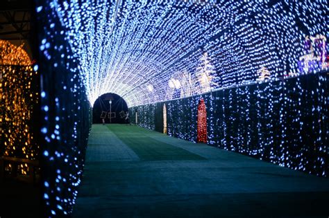 Light park - Howdy! Welcome to Santa's Wonderland, the World's LARGEST Christmas Park, located in College Station, Texas. Immerse yourself in millions of dazzling lights, REAL Texas snow & ice, and a multitude of cheerful attractions spread across acres of festive wonderland. Discover delightful Shoppes and indulge in downright delicious grub.